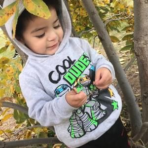 Meet your Posher, Rose ann